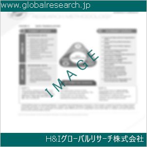 グローバルリサーチ調査資料のイメージ
